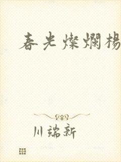 春光灿烂杨家将