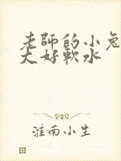老师的小兔子好大好软水