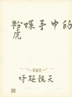 粉蝶手中的纸老虎