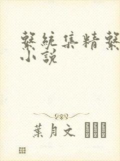 系统集精系统 小说