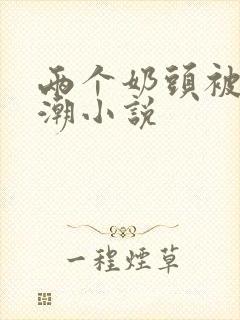 两个奶头被捏高潮小说