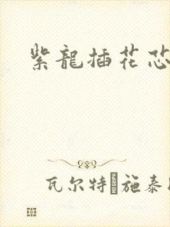 紫龙插花芯方正