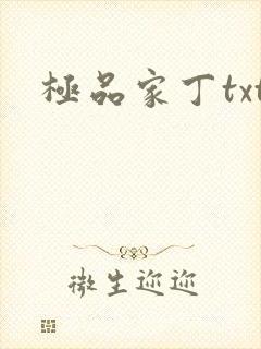极品家丁txt