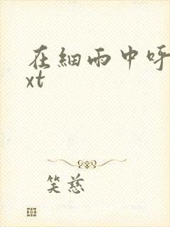 在细雨中呼喊txt