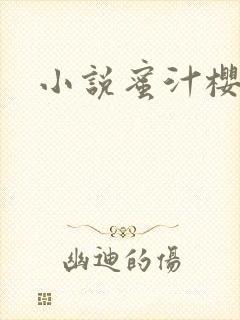 小说蜜汁樱桃封面