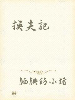 换夫记封面