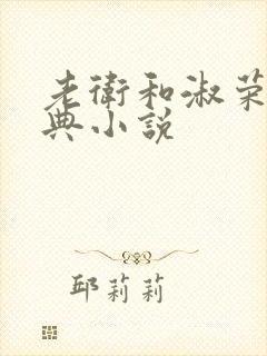 老卫和淑荣的经典小说