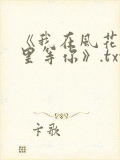《我在风花雪月里等你》.txt