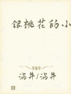 银桃花的小说