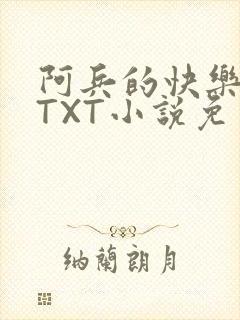 阿兵的快乐生活TXT小说免费阅读全章