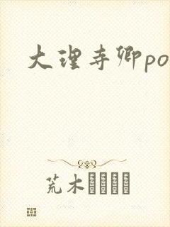 大理寺卿po封面