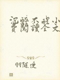 沉醉不醒小说免费阅读全文无弹窗