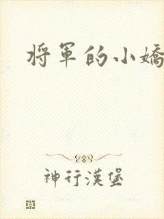 将军的小娇妻h封面