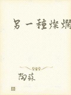 另一种灿烂生活