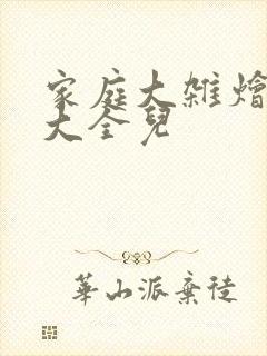 家庭大杂烩小说大全儿