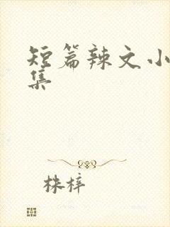 短篇辣文小说合集封面