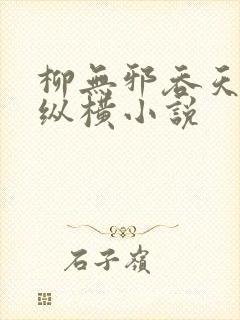 柳无邪吞天神鼎纵横小说