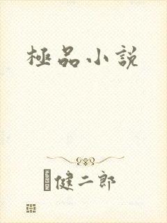 极品小说