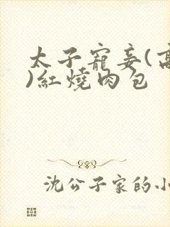 太子宠妾(高肉)红烧肉包