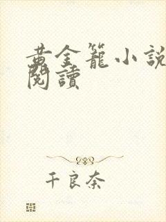 黄金笼小说免费阅读