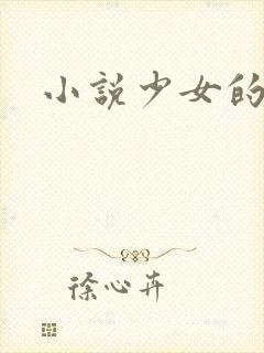小说少女的心
