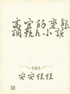 高官的变态玩弄调教h小说