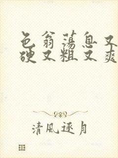 色翁荡息又大又硬又粗又爽电影