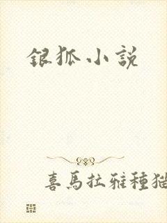 银狐小说