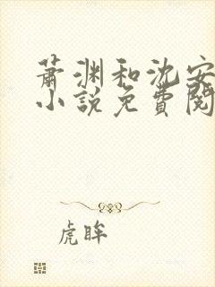 萧渊和沈安安的小说免费阅读