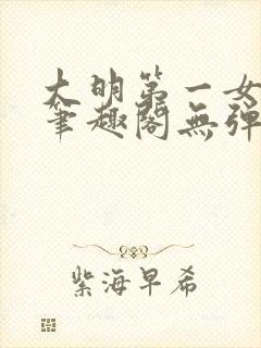 大明第一女首辅笔趣阁无弹窗封面