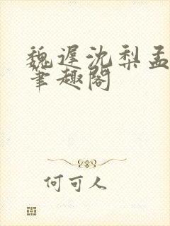 魏迟沈梨孟灵薇笔趣阁封面