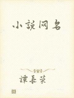 小说网名