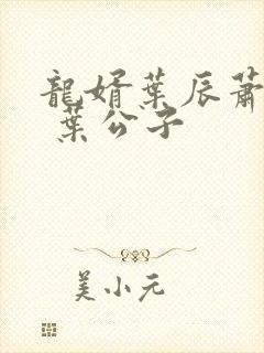 龙婿叶辰萧初然 叶公子