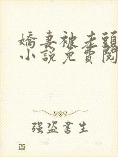 娇妻被老头征服小说免费阅读封面