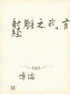 射雕之我有太玄经