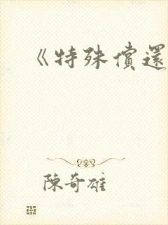 《特殊偿还》封面