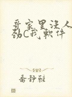 哥家里没人使点劲C我软件封面