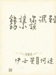 能让你湿到不行的小说