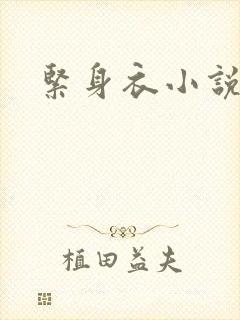 紧身衣小说