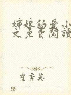 婶娘的爱小说全文免费阅读封面