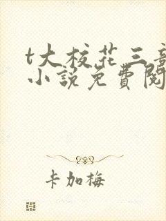 t大校花三部曲小说免费阅读全文封面