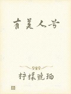 有美人兮