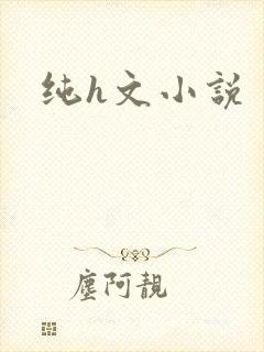 纯h文小说