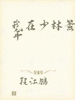 我在少林签到万年封面