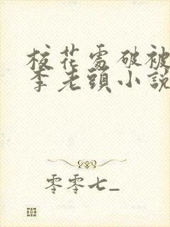 校花处破被灌满李老头小说封面