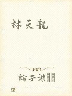 林天龙封面