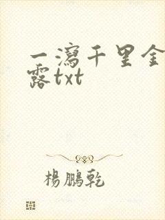 一泻千里金银花露txt