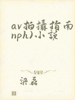 av拍摄指南(nph)小说