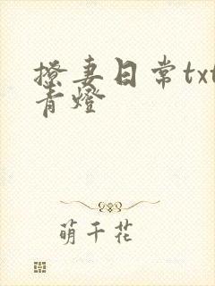 撩妻日常txt青灯