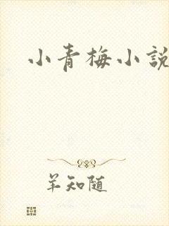 小青梅小说